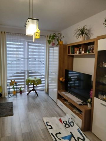 Mieszkanie 1-pokojowe Sosnowiec. Zdjęcie 1