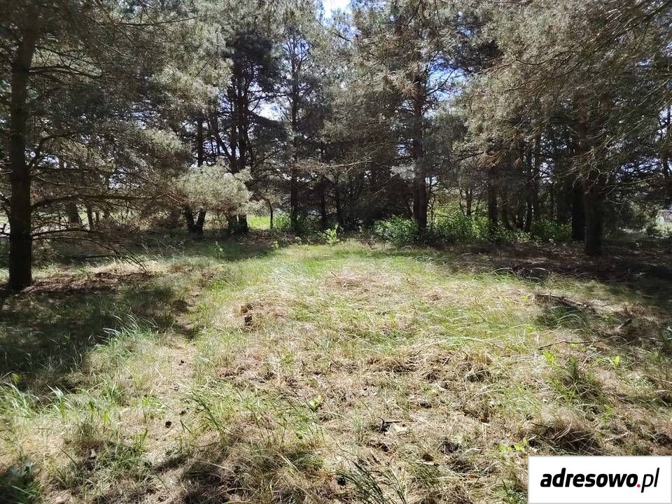 Działka rolno-budowlana Rychlik. Zdjęcie 6