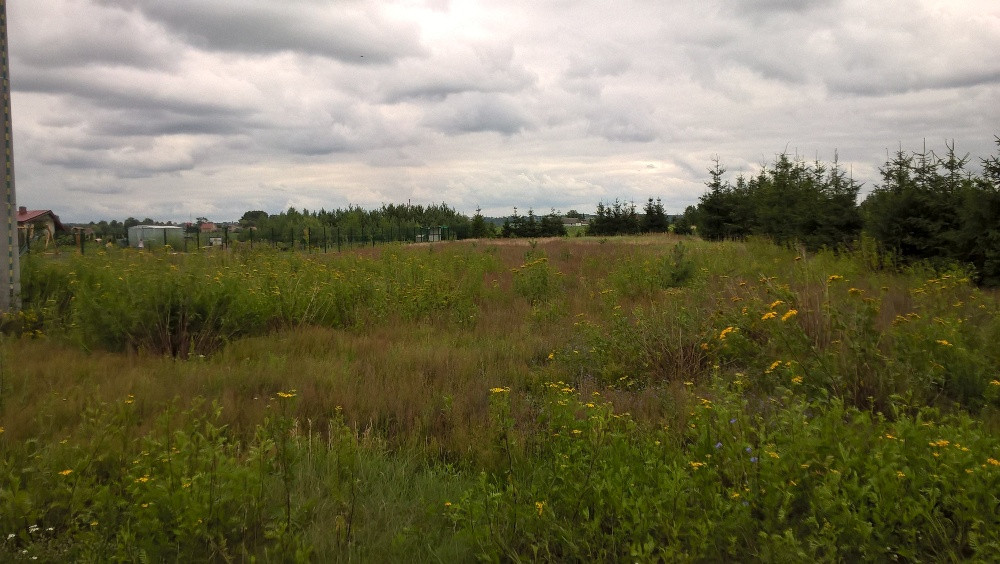 Działka rolna Grabówko. Zdjęcie 8