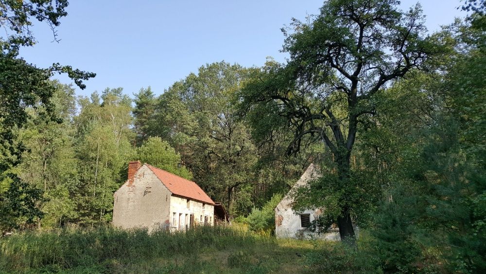 Działka rolno-budowlana Tuplice