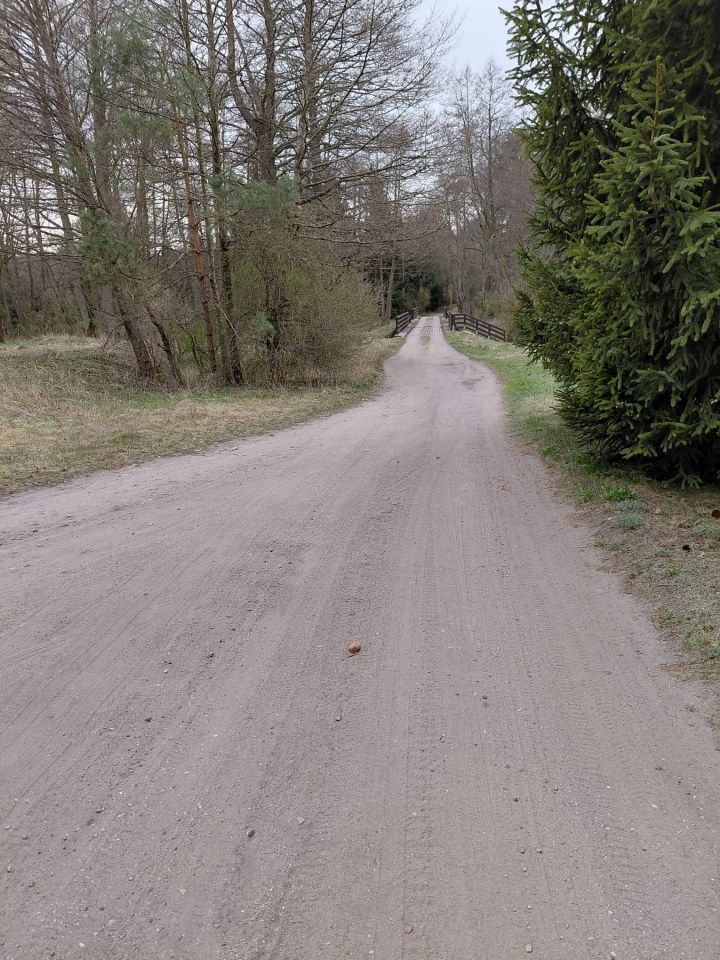 dom wolnostojący, 4 pokoje Domyśl. Zdjęcie 19