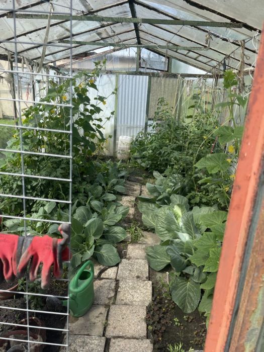 Działka rod Gdańsk. Zdjęcie 4