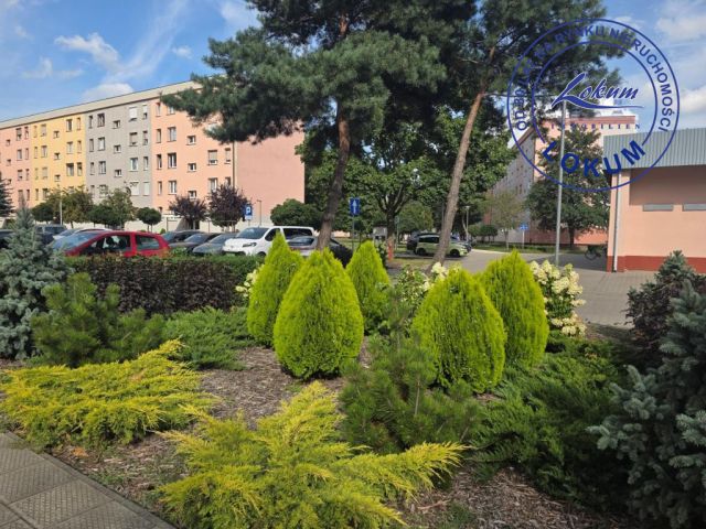 Mieszkanie 3-pokojowe Leszno, ul. Niemiecka. Zdjęcie 11