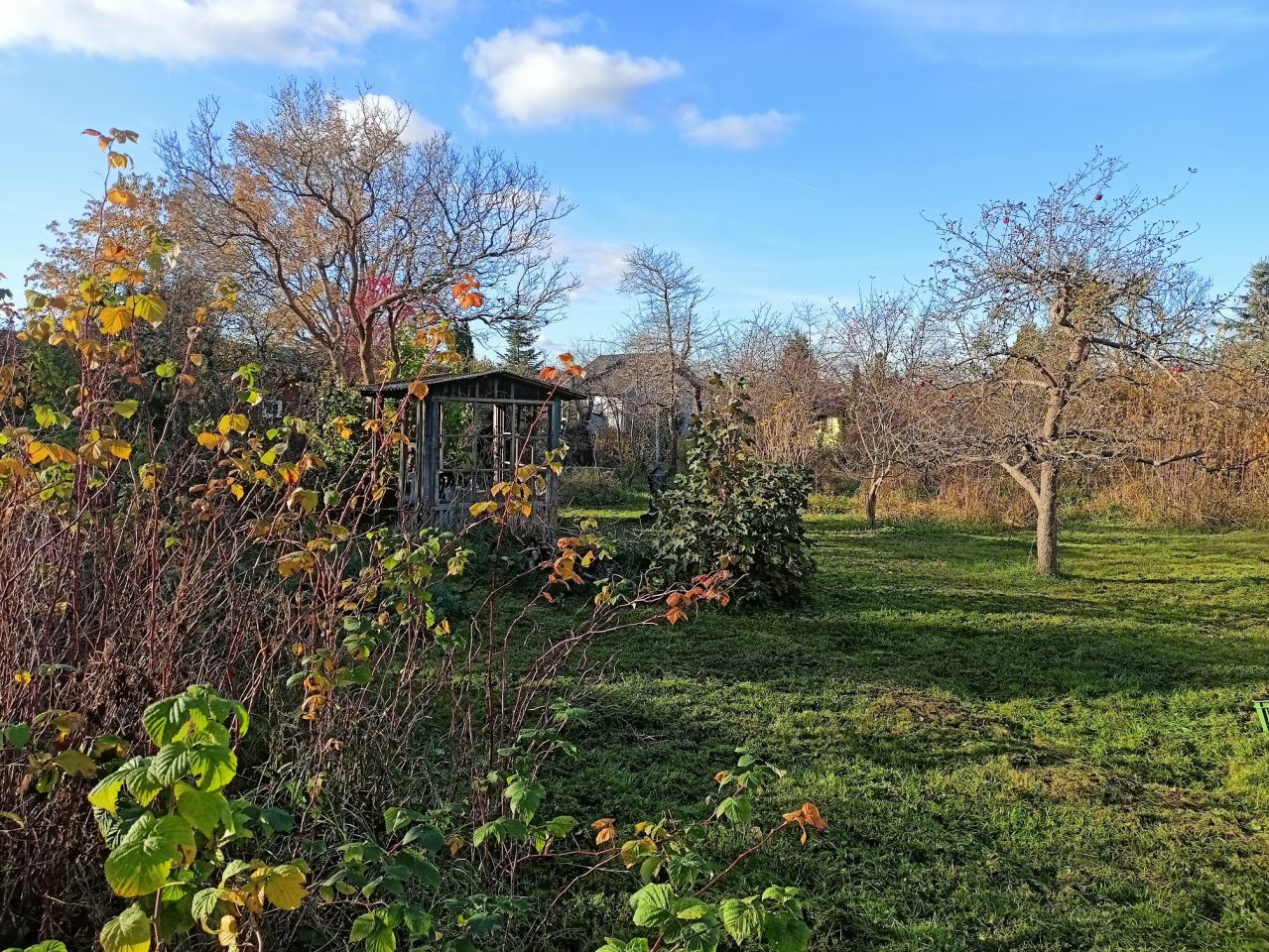 Działka rod Wejherowo, ul. mjr. Henryka Sucharskiego. Zdjęcie 2