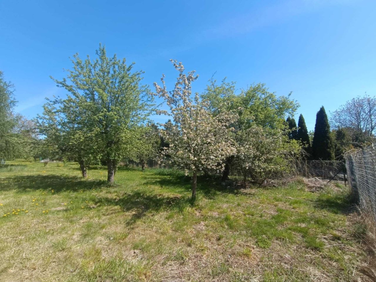 Działka budowlana Kalinowice. Zdjęcie 7