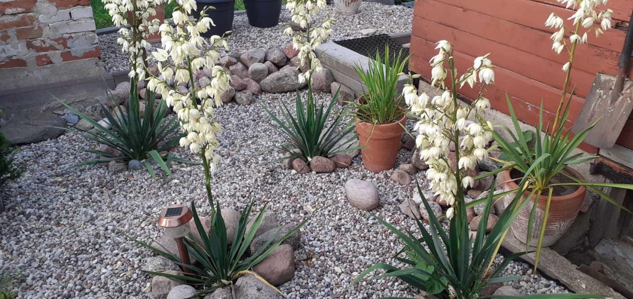 Działka rod Klebark Mały. Zdjęcie 3