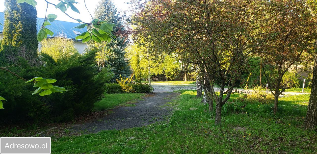 Hala/magazyn Nowy Dwór. Zdjęcie 13