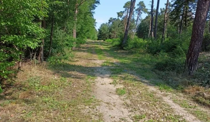 Działka budowlana Teodory