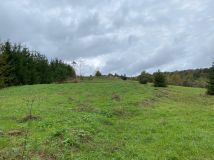 Działka rolno-budowlana Hoczew. Zdjęcie 4