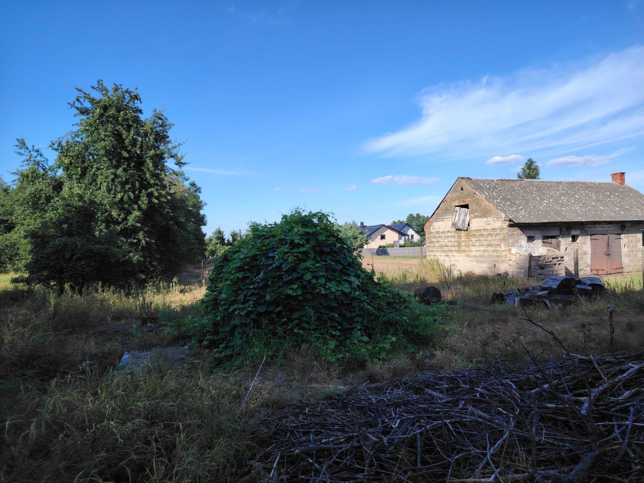 Działka budowlana Bogumiłów. Zdjęcie 6