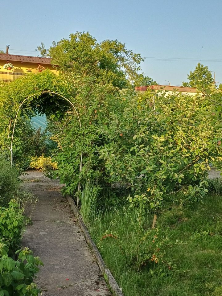 Działka rod Chodzież. Zdjęcie 6