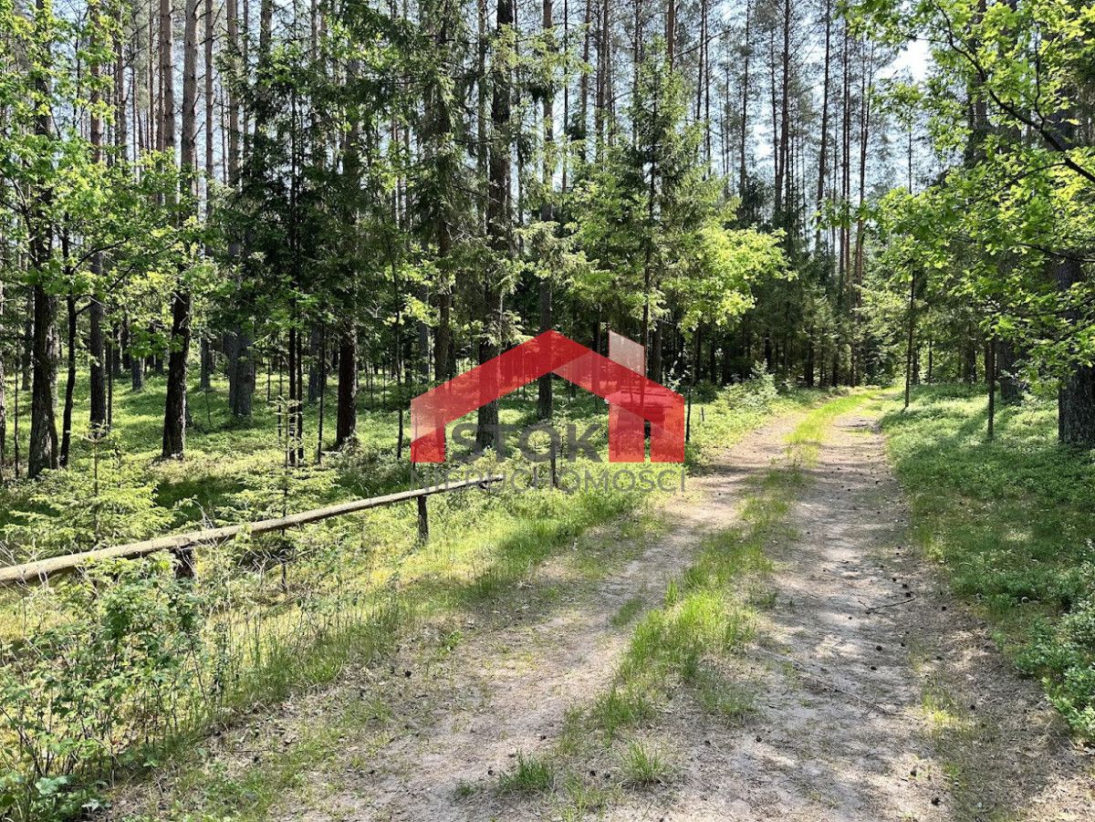 Działka leśna Rudnica. Zdjęcie 8