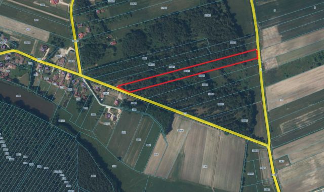 Działka rolna Kolonia Zagajów Młynek, Młynek. Zdjęcie 1