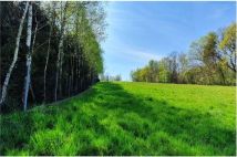 Działka budowlana Głogoczów. Zdjęcie 1