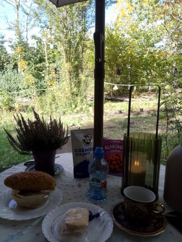 Działka rekreacyjna Gliwice, ul. Chorzowska. Zdjęcie 1