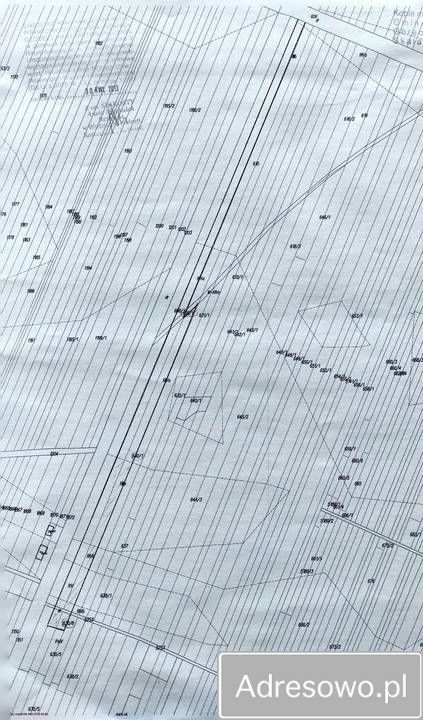 Działka rolna Kocudza Trzecia. Zdjęcie 2