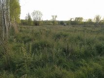 Działka budowlana Celinów, ul. Karych Koni. Zdjęcie 2