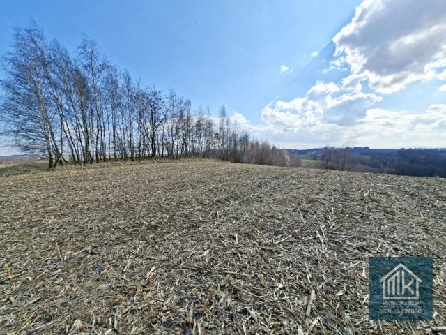 Działka budowlana Bodzanów. Zdjęcie 9