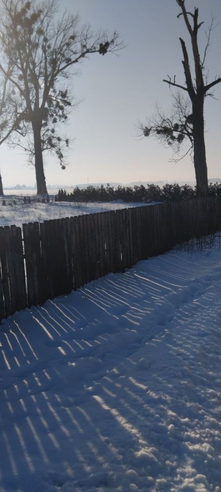 Działka budowlana Babrosty. Zdjęcie 3