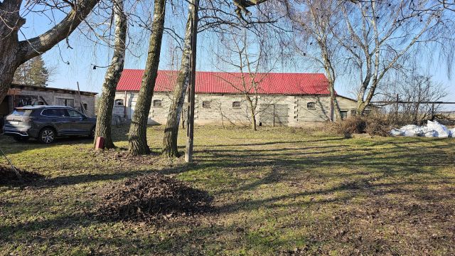 siedlisko Bogucice. Zdjęcie 5