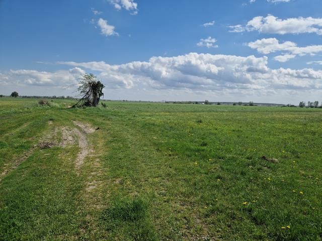 Działka budowlana Małopole. Zdjęcie 3