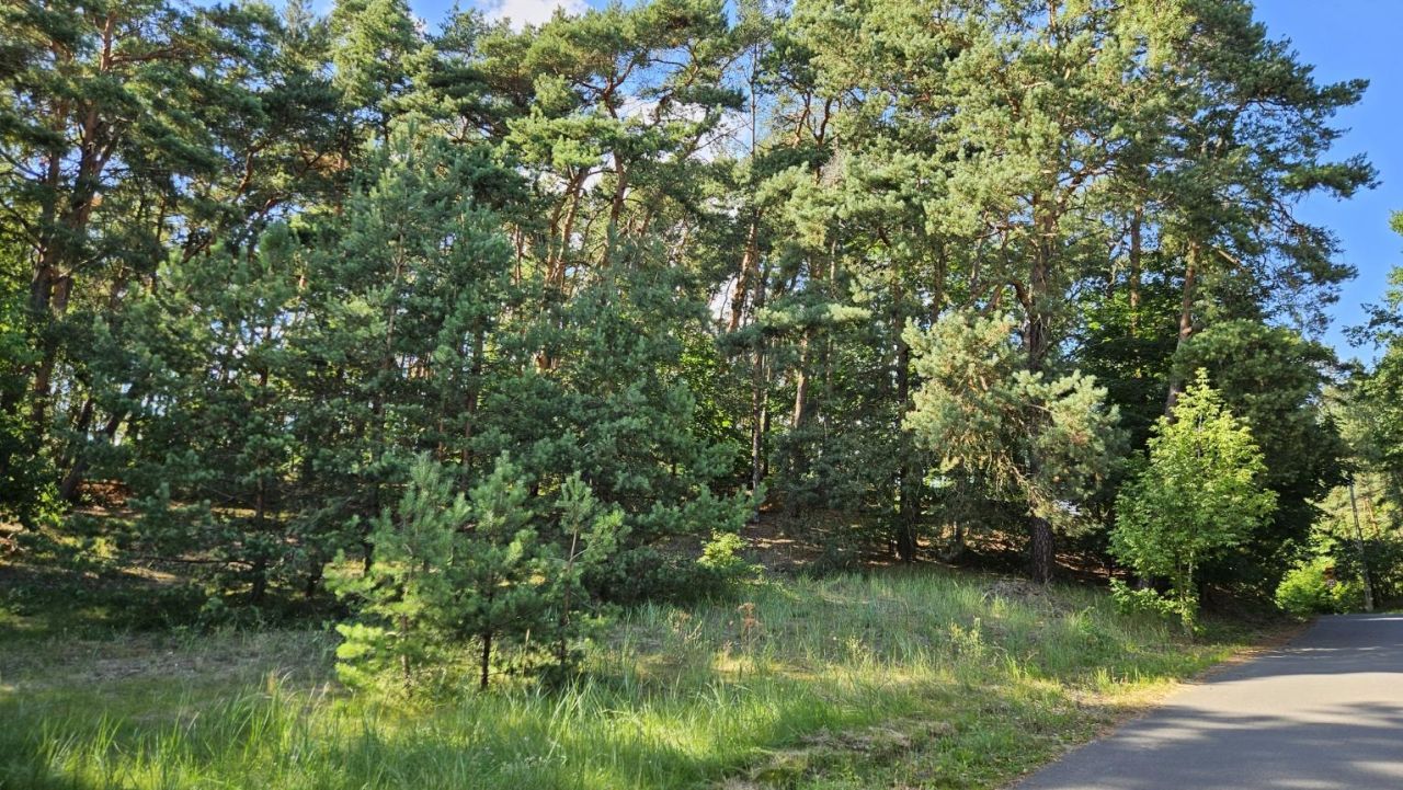 Działka leśna Otłoczyn, ul. Szlak Bursztynowy. Zdjęcie 1