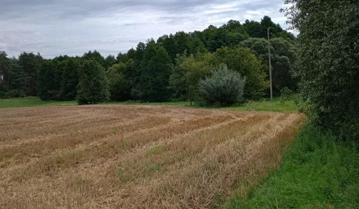 Działka rolno-budowlana Franciszkowo