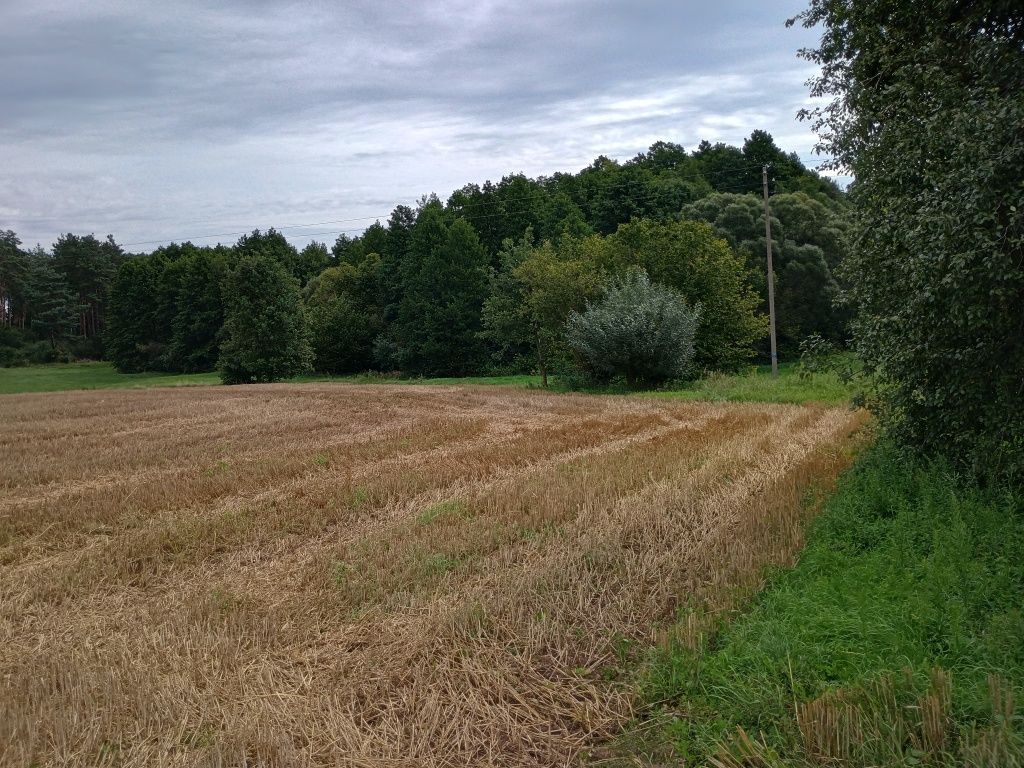 Działka rolno-budowlana Franciszkowo. Zdjęcie 1
