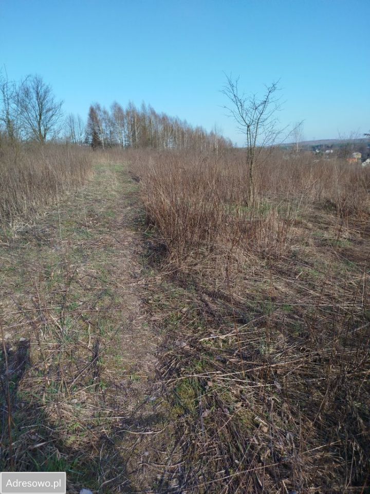 Działka budowlana Chruszczobród, ul. Gawronówka. Zdjęcie 8
