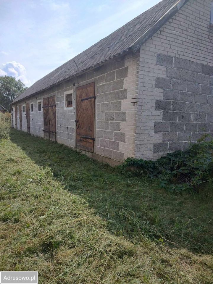 gospodarstwo Przyjmy. Zdjęcie 8