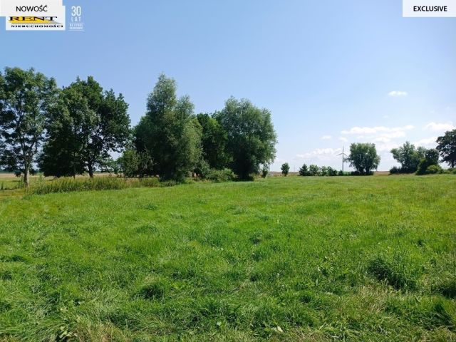 Działka budowlana Roby. Zdjęcie 7