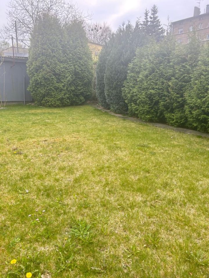 Działka rod Gliwice, ul. Andrzeja Mielęckiego. Zdjęcie 8