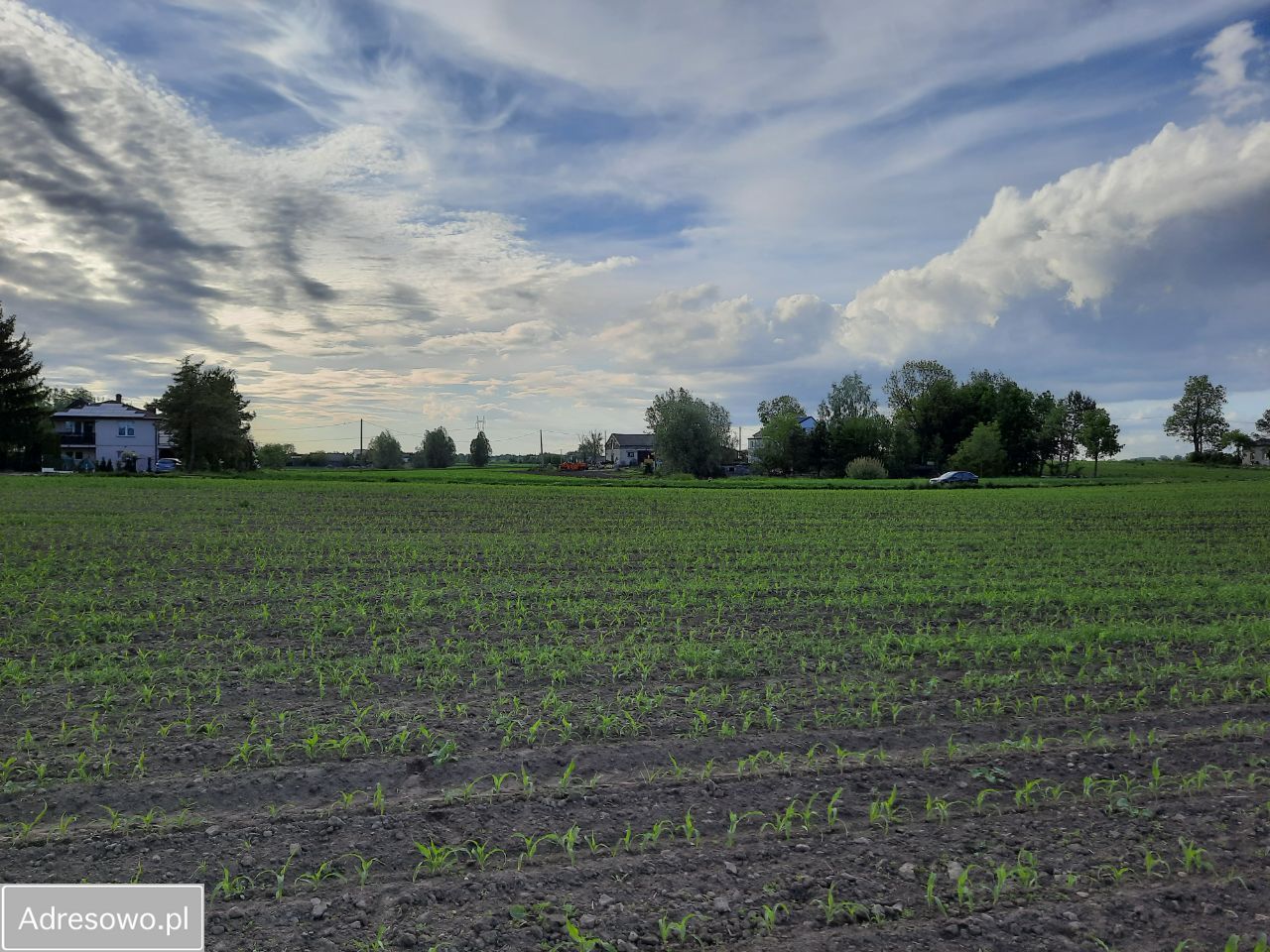 Działka budowlana Papowo Toruńskie Drążkowo, ul. Brzozowa. Zdjęcie 7