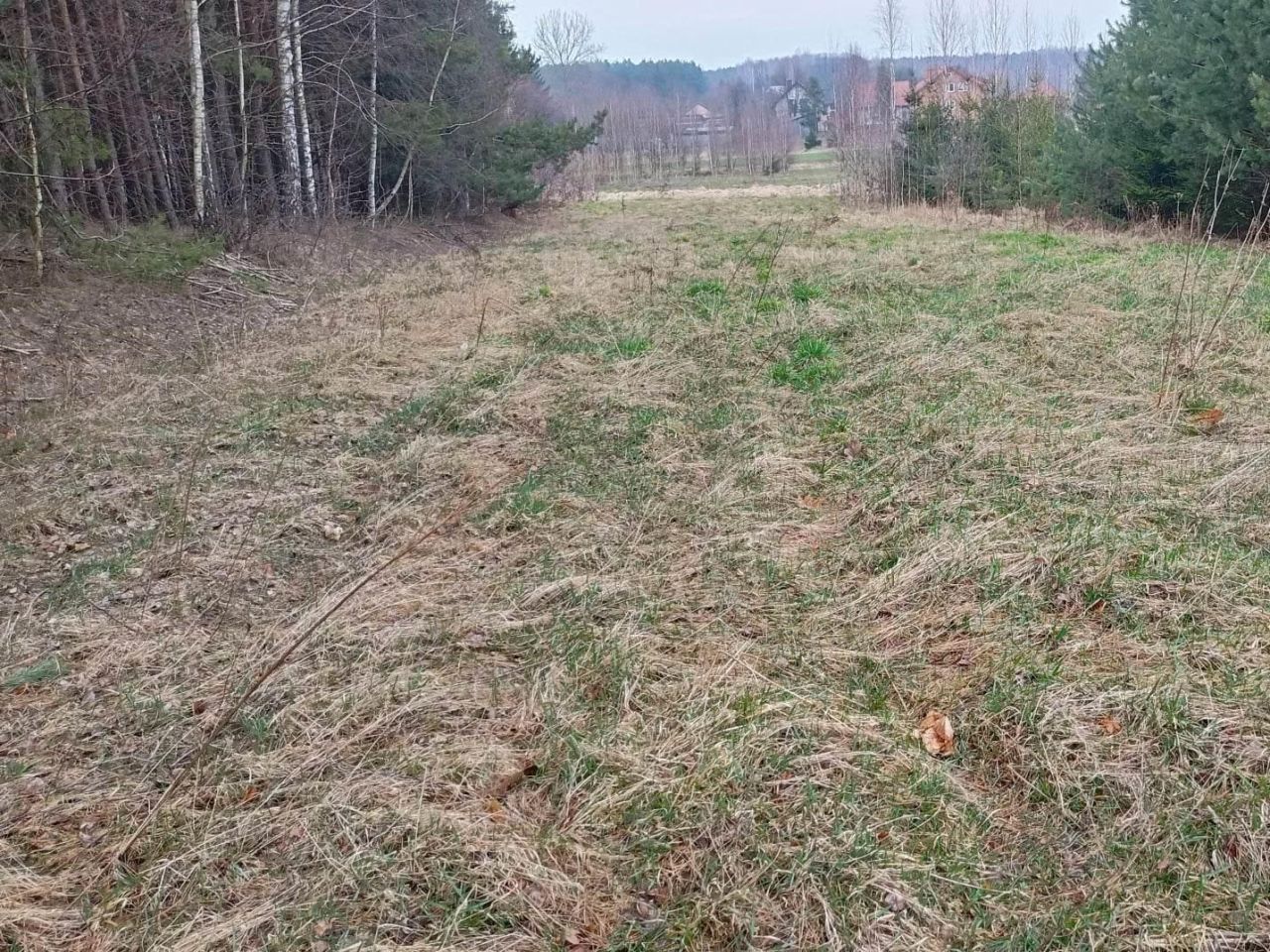 Działka rolno-budowlana Poświętne, ul. Polna. Zdjęcie 8