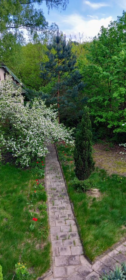 dom wolnostojący, 5 pokoi Otwock Świder, ul. Pogodna. Zdjęcie 31