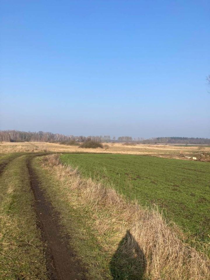 Działka rolna Głazów. Zdjęcie 2