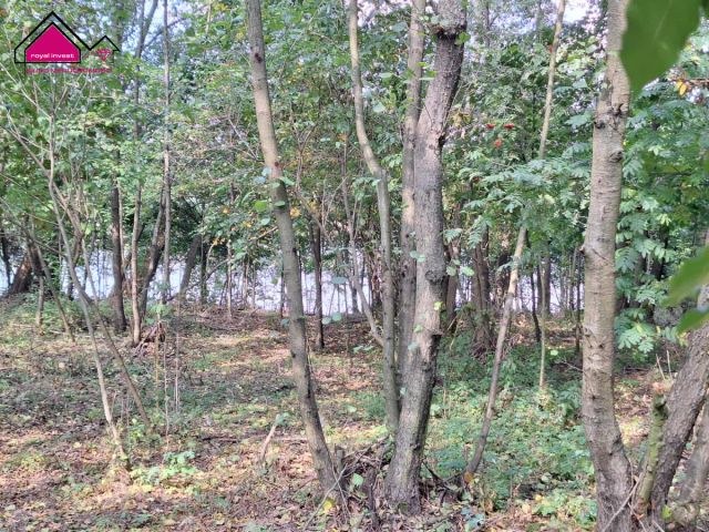 Działka rekreacyjna Cegielnia. Zdjęcie 14