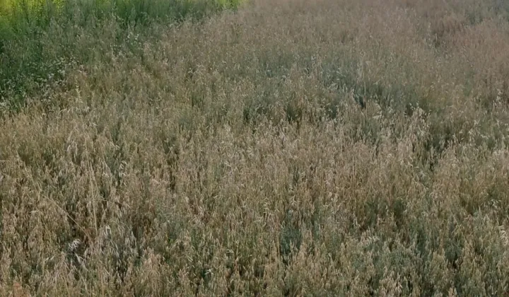 Działka inna Kraków Tonie, ul. Potoczek