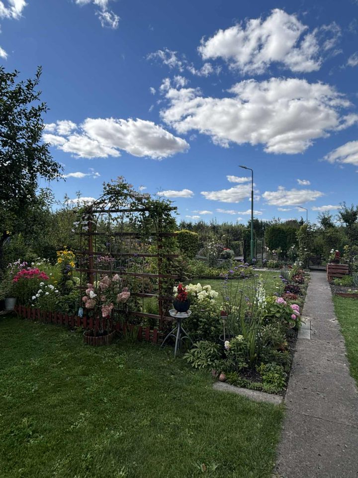 Działka rekreacyjna Malbork Południe. Zdjęcie 3