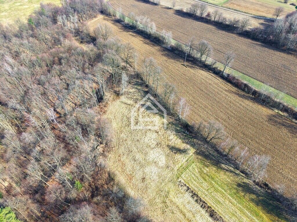 Działka inwestycyjna Trzciana. Zdjęcie 3