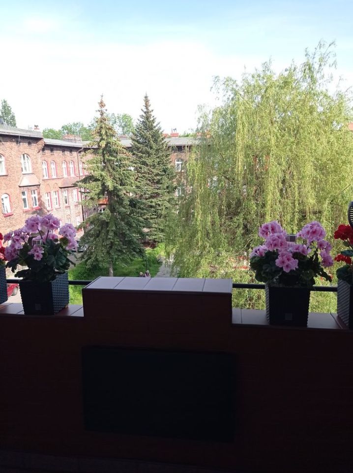 Mieszkanie 4-pokojowe Katowice Nikiszowiec. Zdjęcie 8