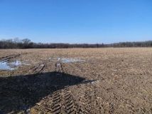 Działka rolna Ulejno. Zdjęcie 2