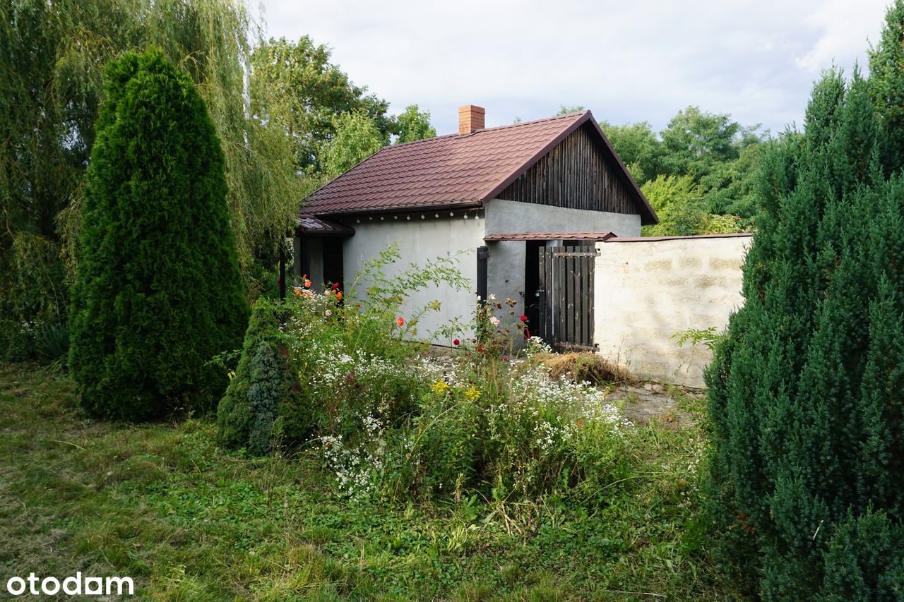 Działka siedliskowa Siemienice. Zdjęcie 4
