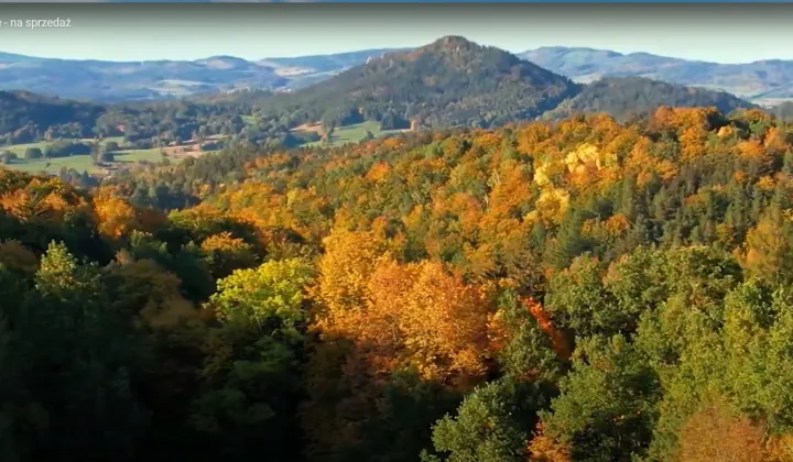 Działka budowlana Gruszków