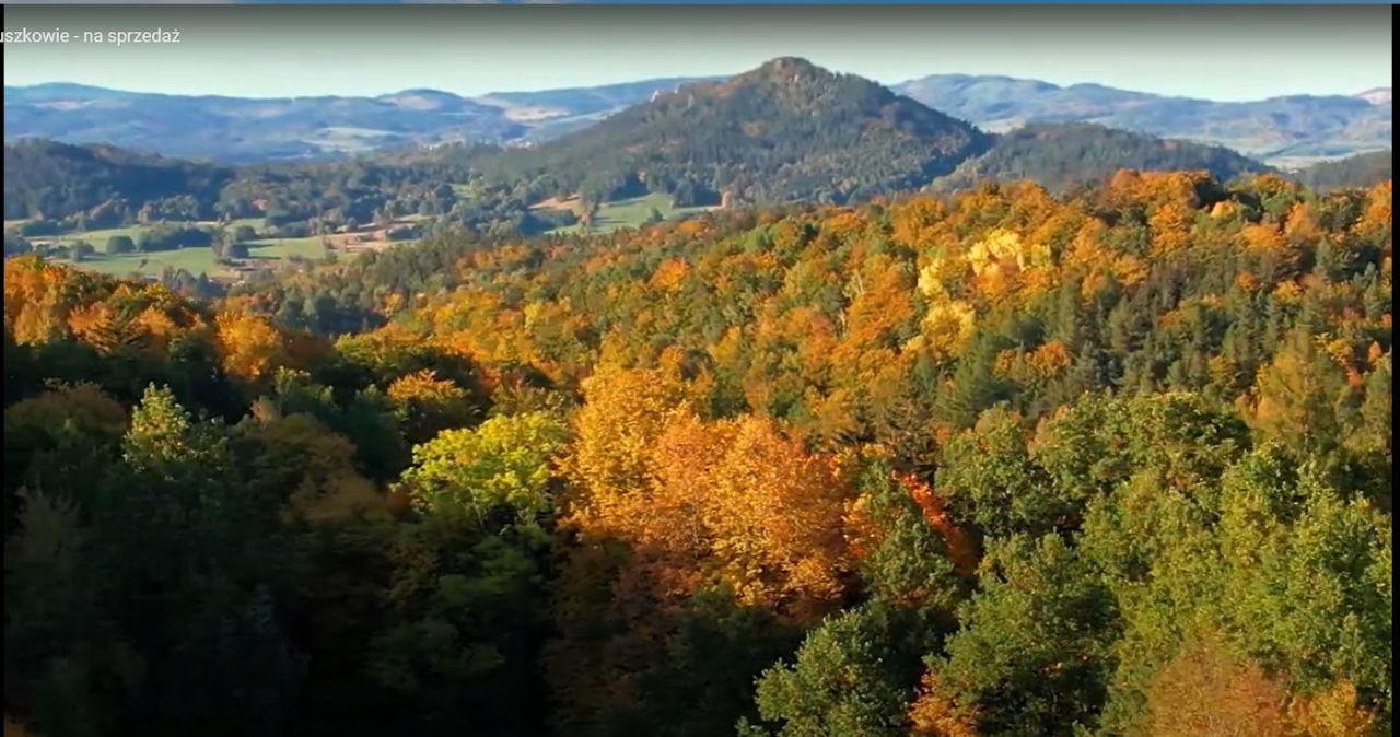 Działka budowlana Gruszków. Zdjęcie 1