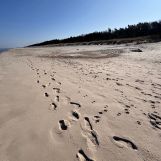 Działka budowlana Karwieńskie Błoto Drugie, ul. Wczasowa. Zdjęcie 3