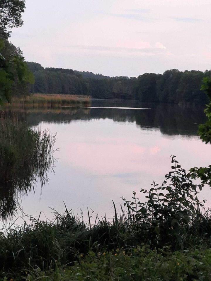 bliźniak Łążyn. Zdjęcie 4