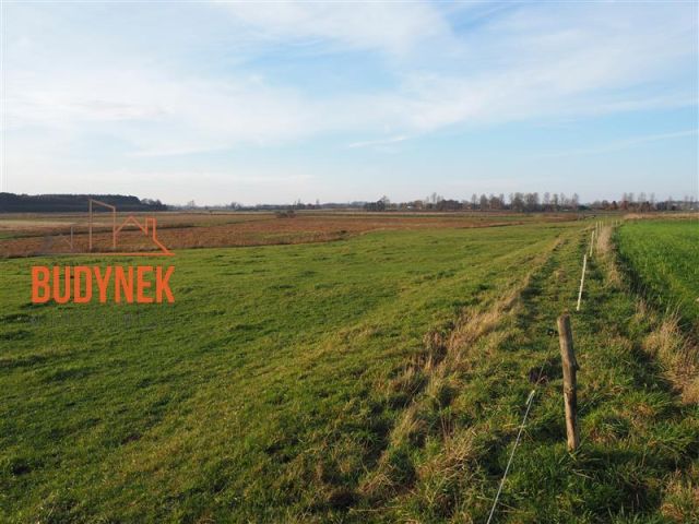 Działka rolna Krupy. Zdjęcie 8