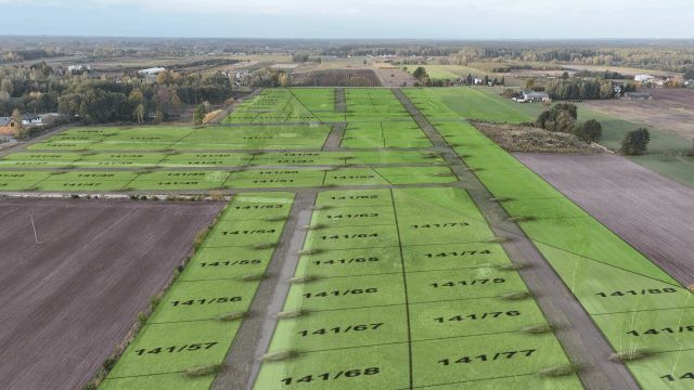 Działka budowlana Nowe Racibory, ul. Mazowiecka. Zdjęcie 4