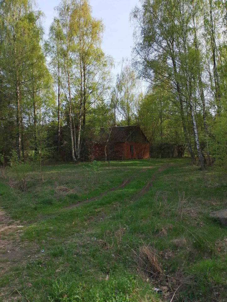 Działka budowlana Nowa Wieś. Zdjęcie 2